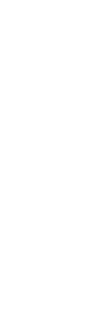 米の旨みと酸味のバランス